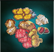 Acrylic Tokens für Biome 2 - Deep Rock Galactic (EN)