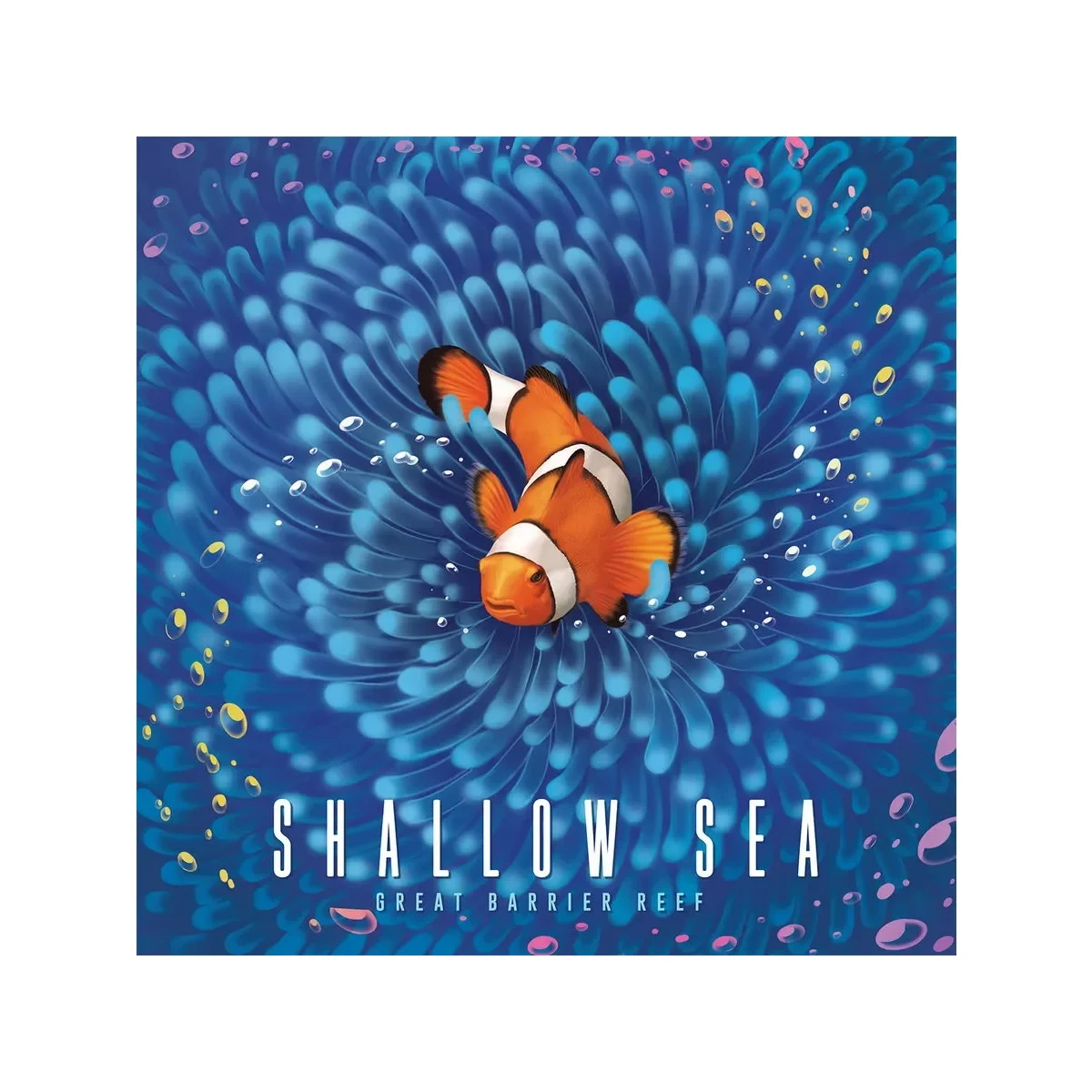 Shallow Sea (EN)