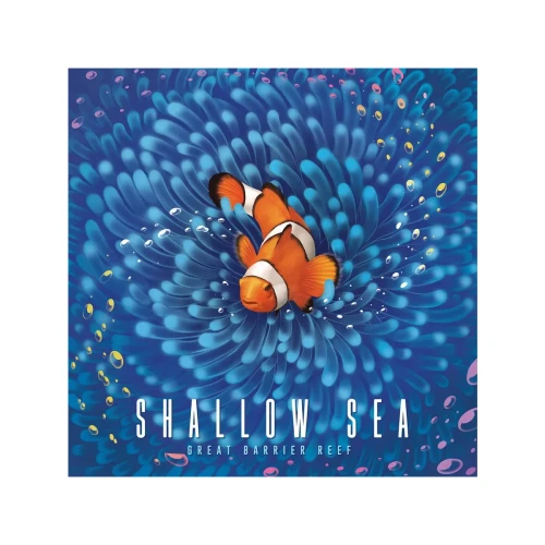 Shallow Sea (EN)