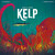 Kelp - Hai vs. Oktopus (DE)