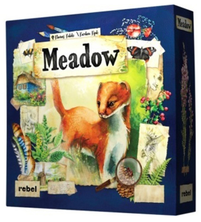 Meadow (EN)