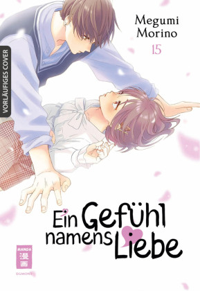 Ein Gefühl Namens Liebe 15 - Paperback