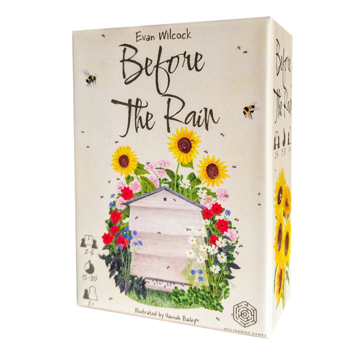Before The Rain (EN)